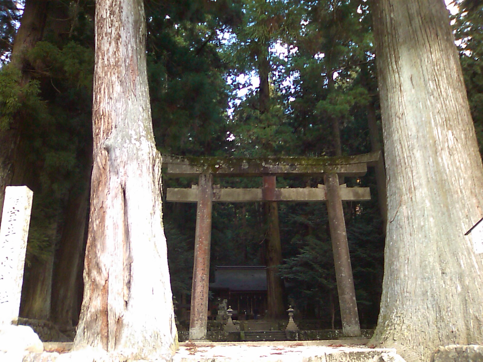 鳥居